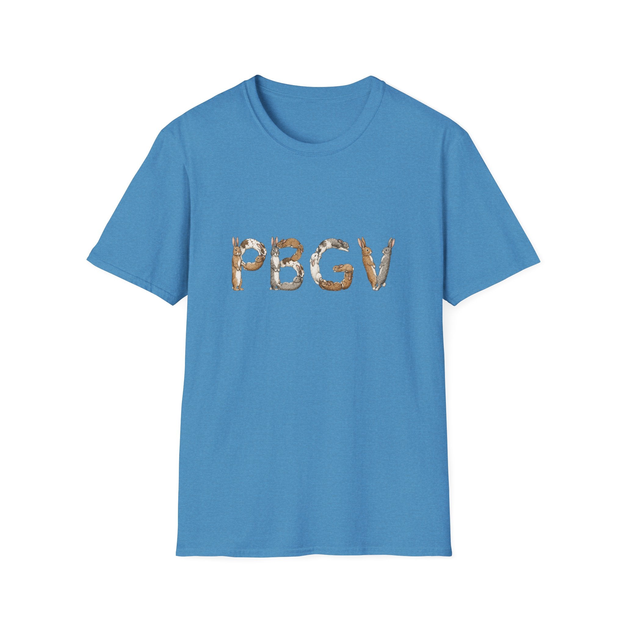 Rabbit PBGV