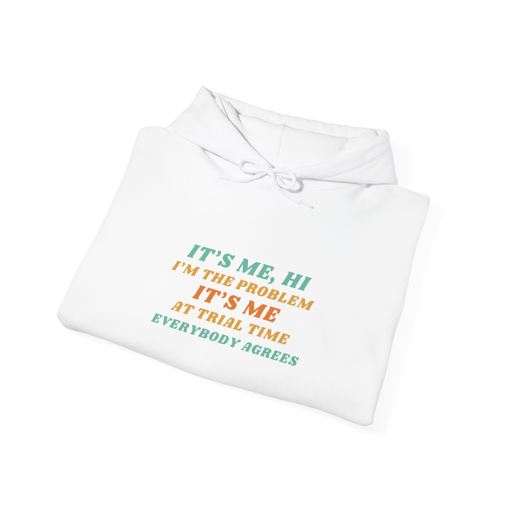 "It’s Me, Hi I’m the Problem…" Pullover