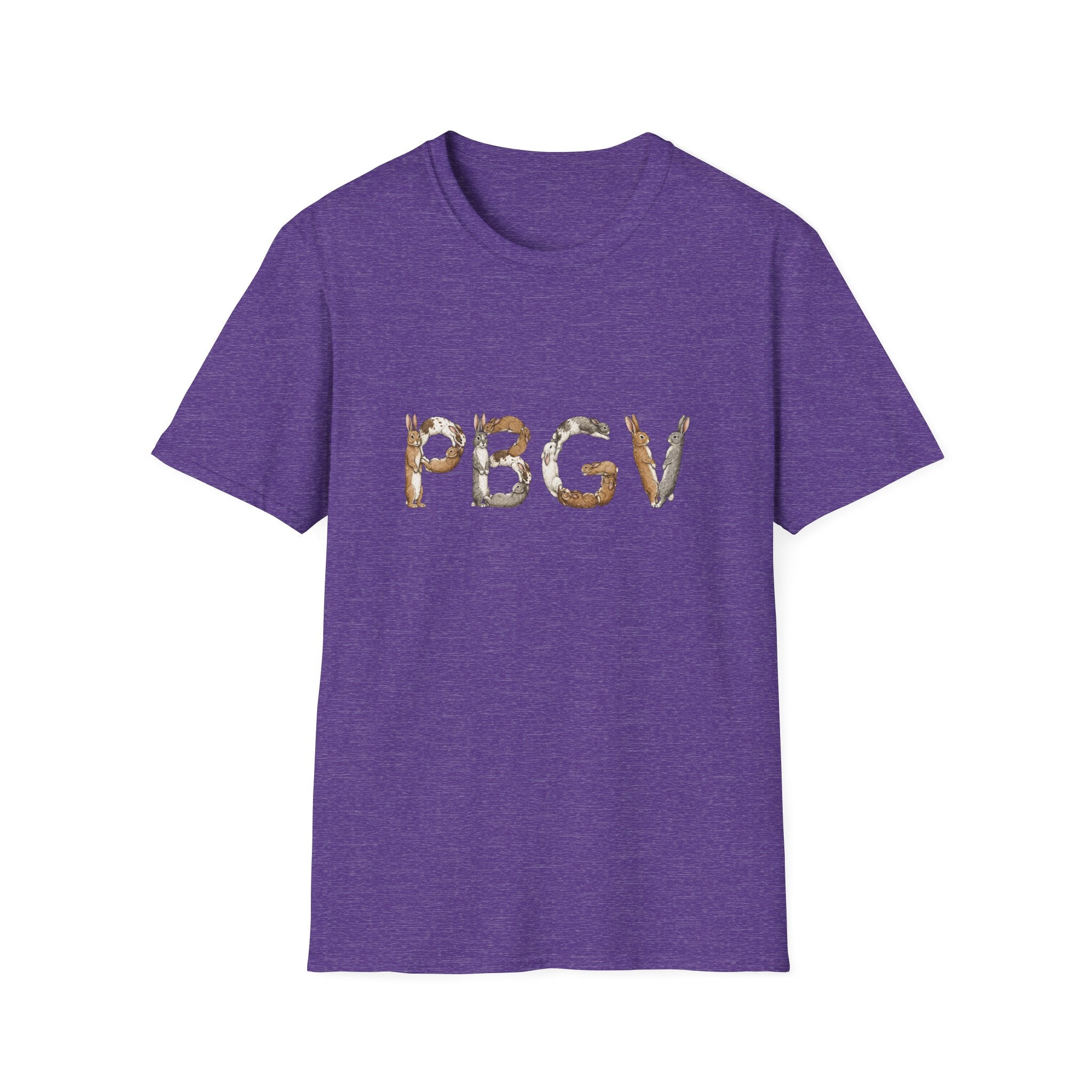 Rabbit PBGV
