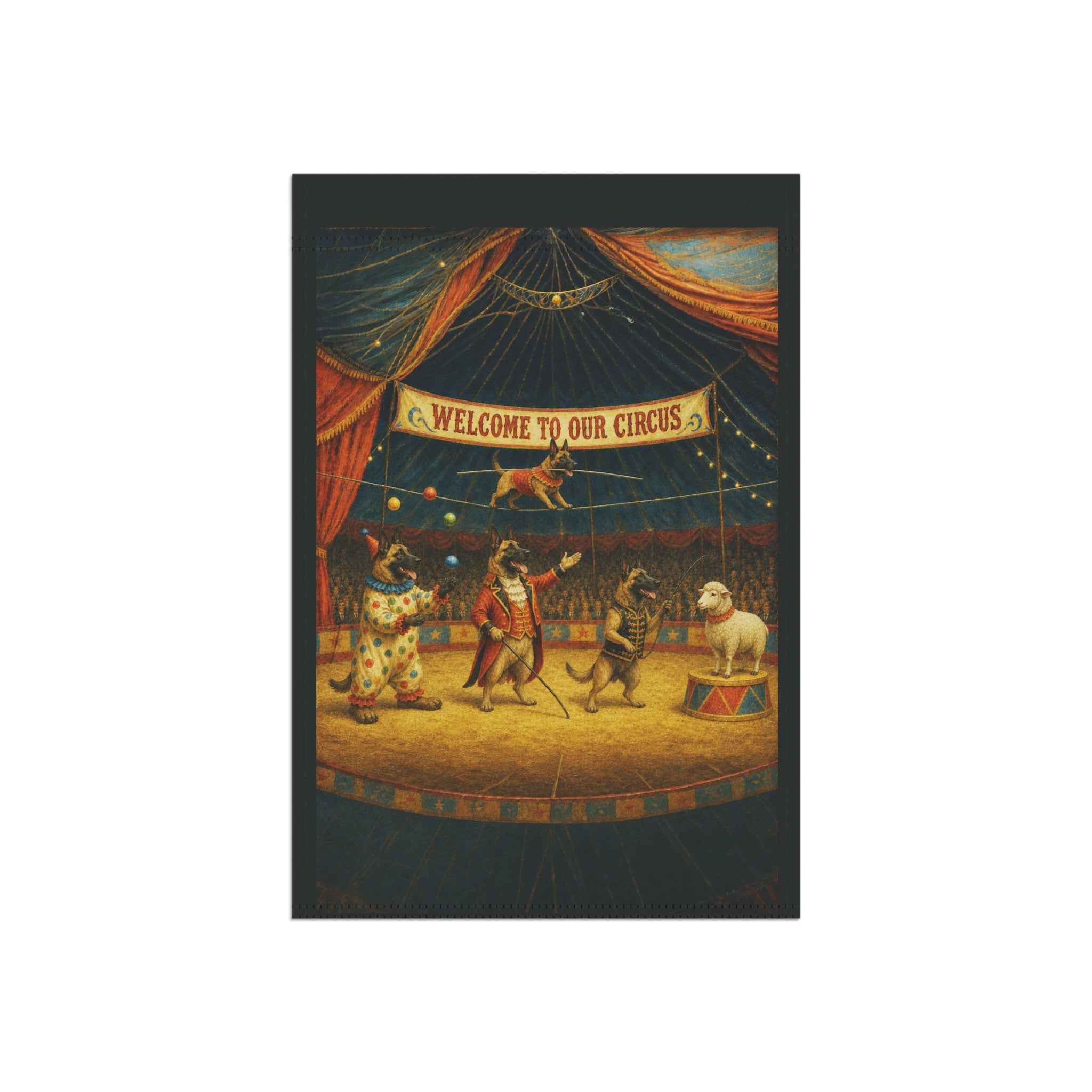 Welcome To Our Circus - Belgian Malinois
