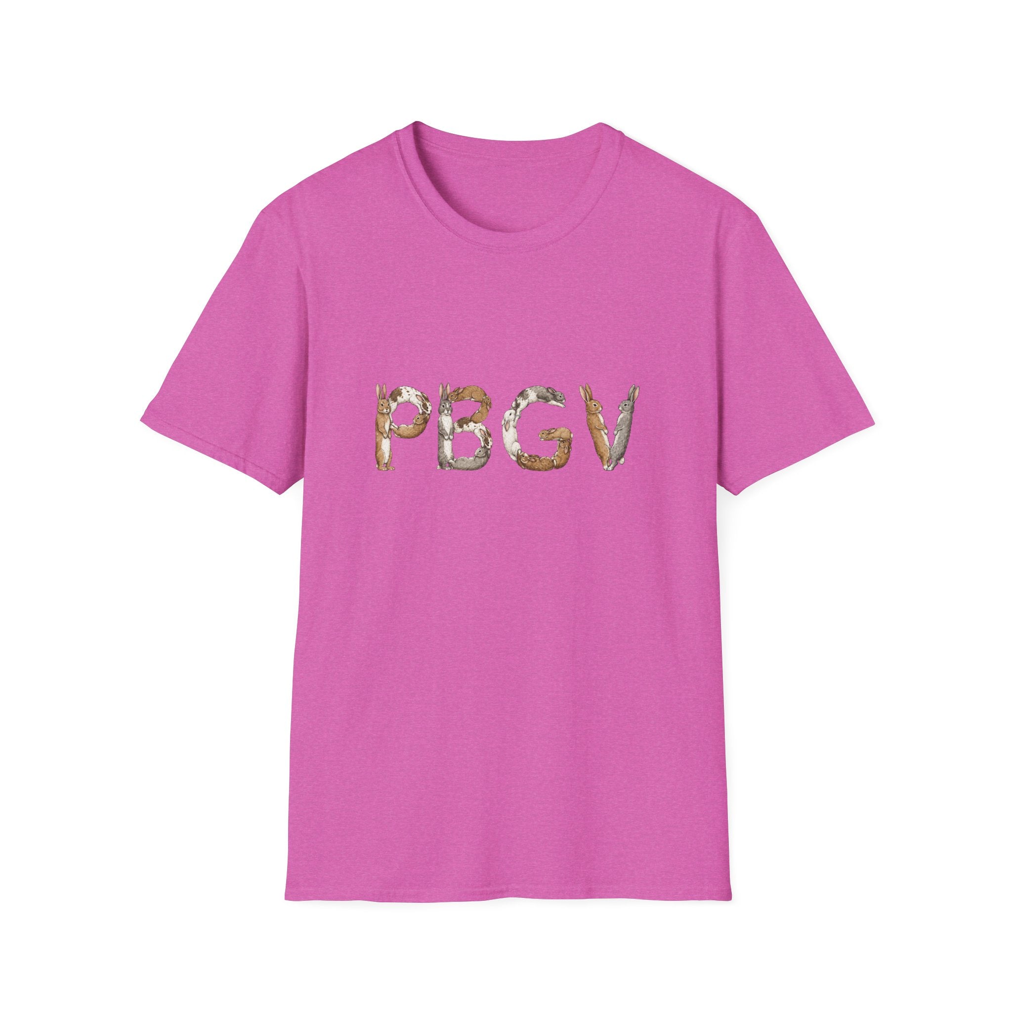 Rabbit PBGV