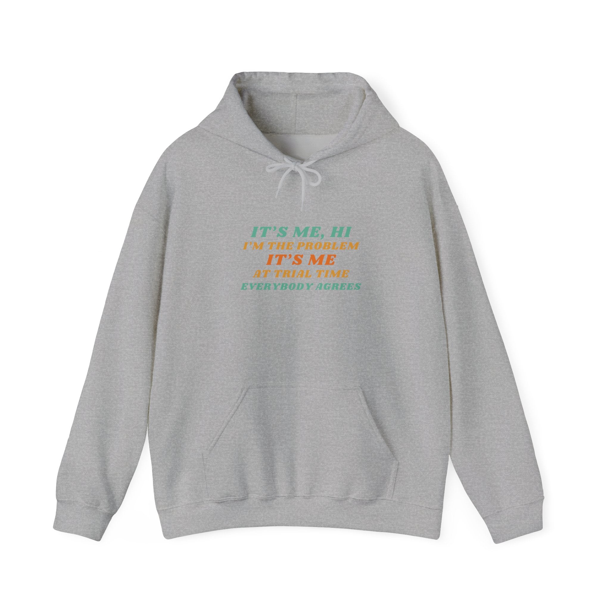 "It’s Me, Hi I’m the Problem…" Pullover