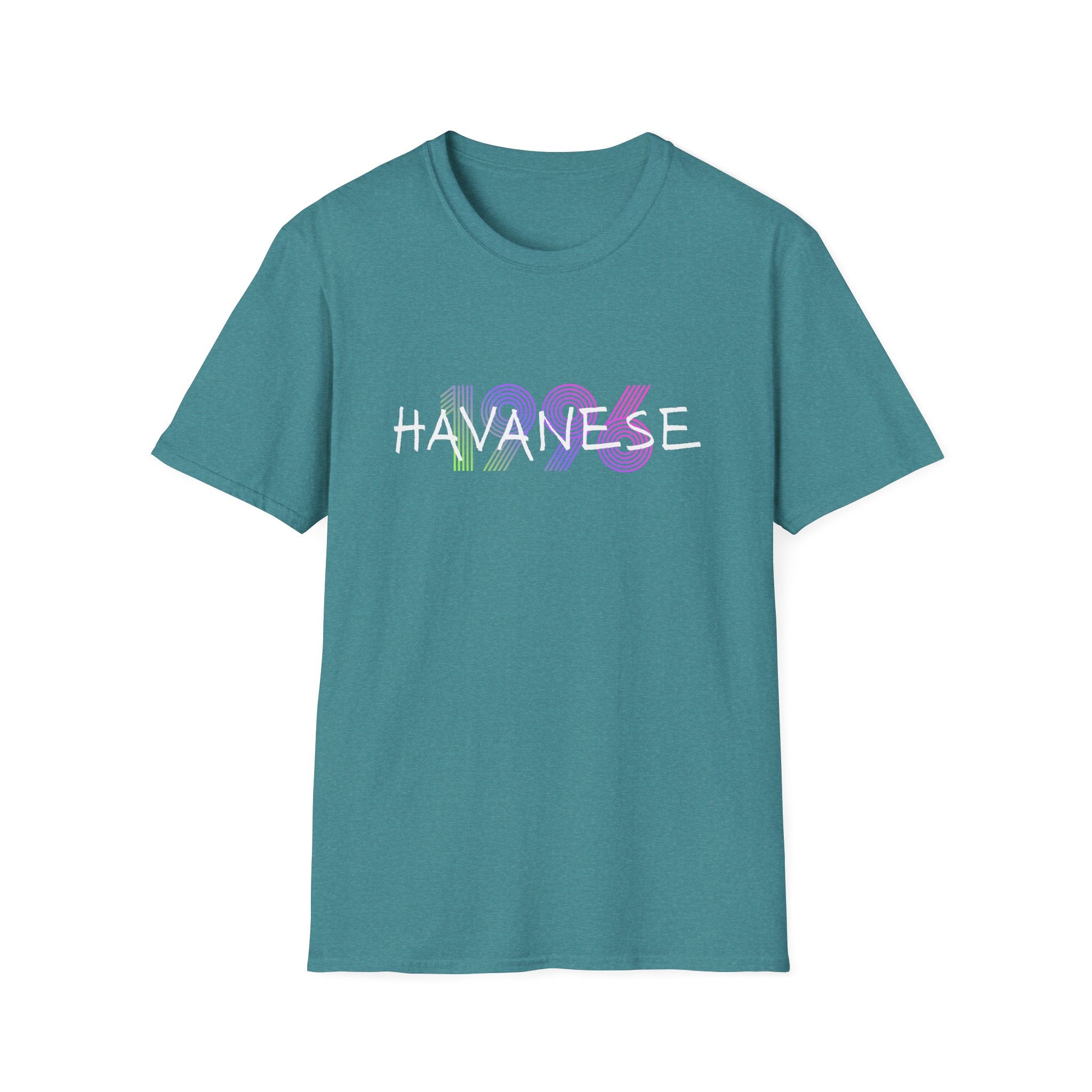 AKC Havanese Year