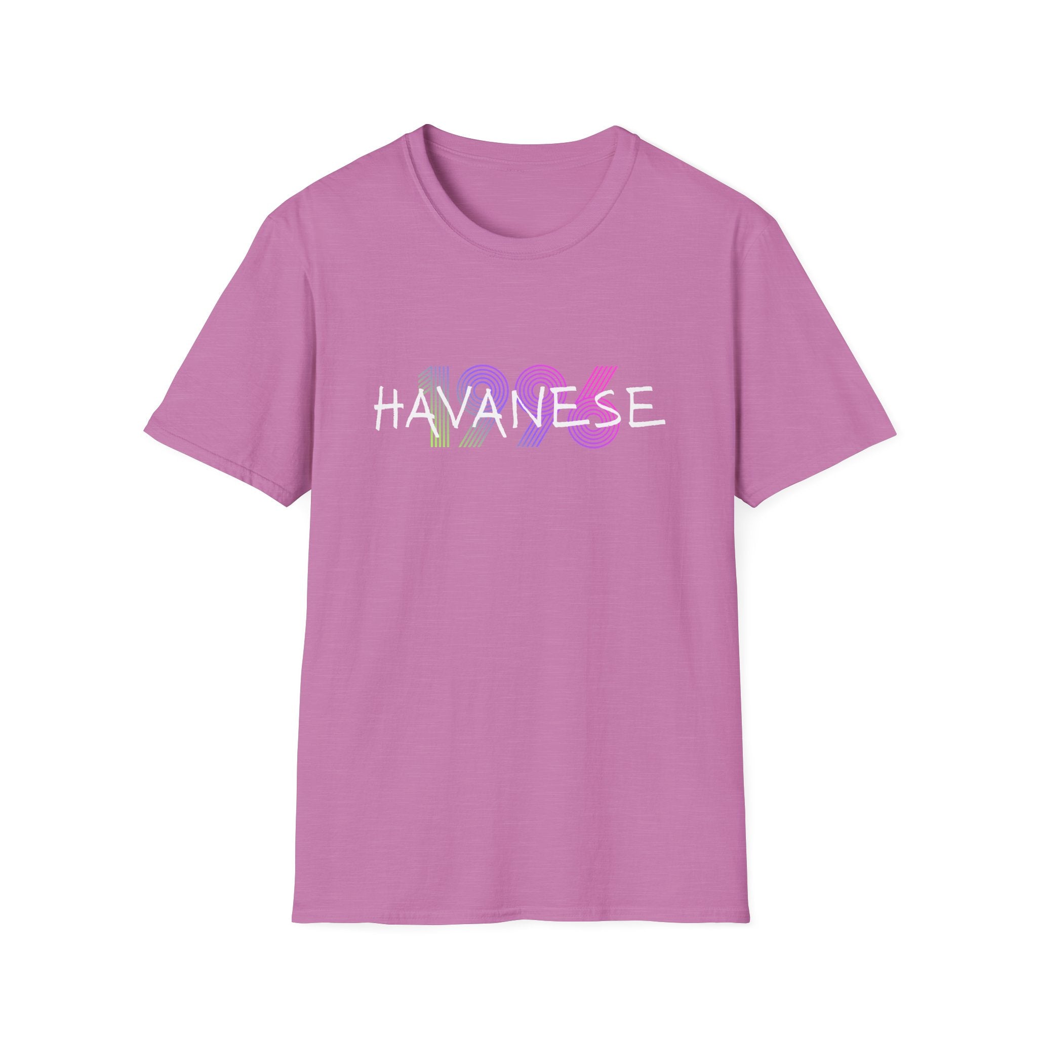 AKC Havanese Year