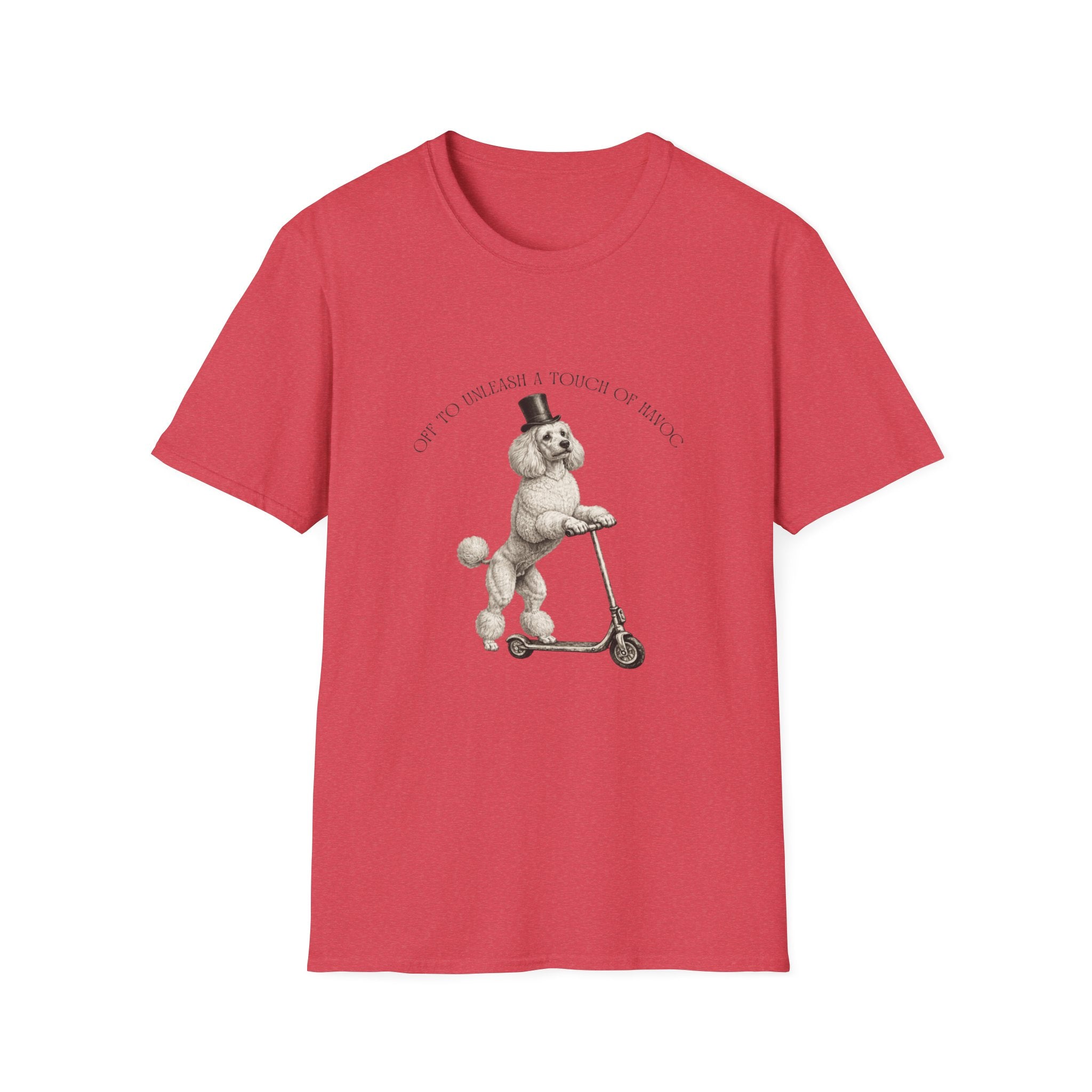 Off To Unleash Havoc - Poodle