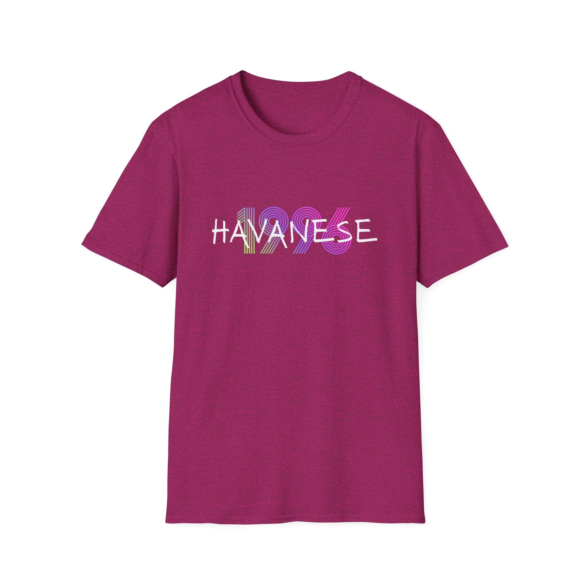 AKC Havanese Year