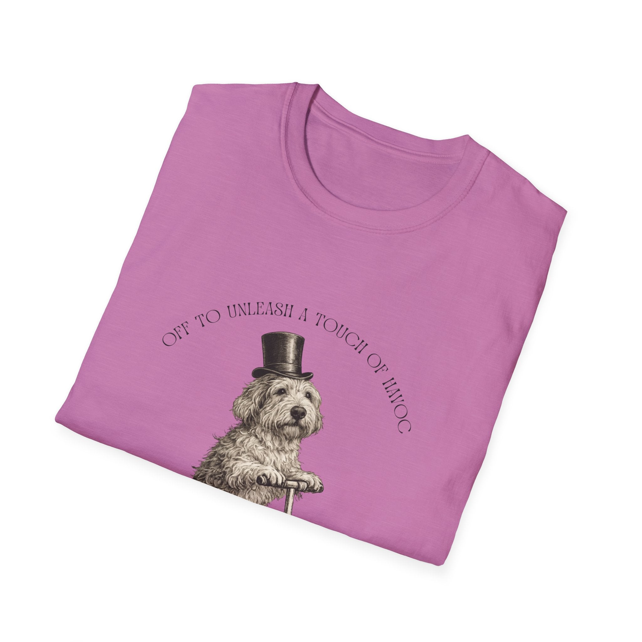 Off To Unleash Havoc - PBGV
