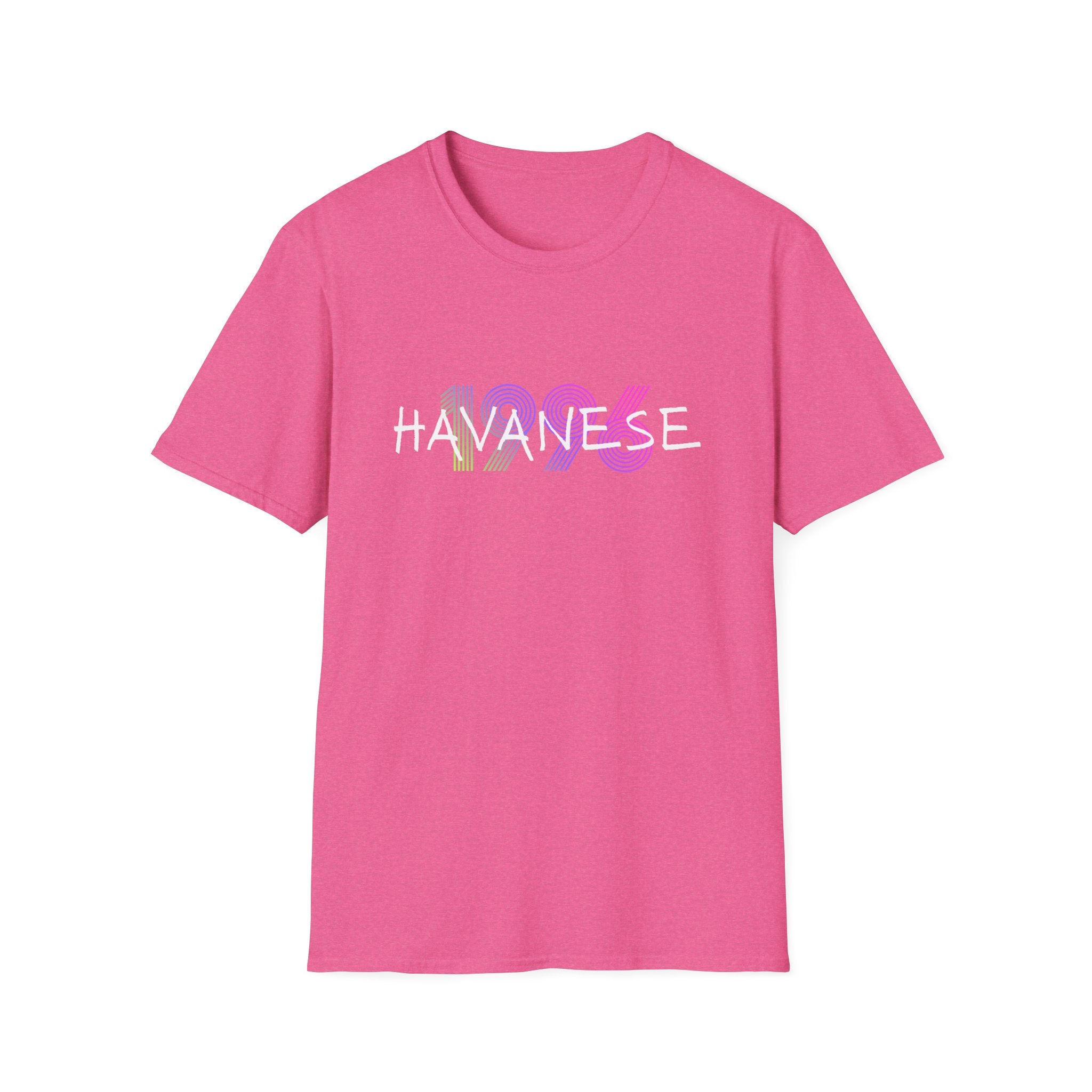 AKC Havanese Year