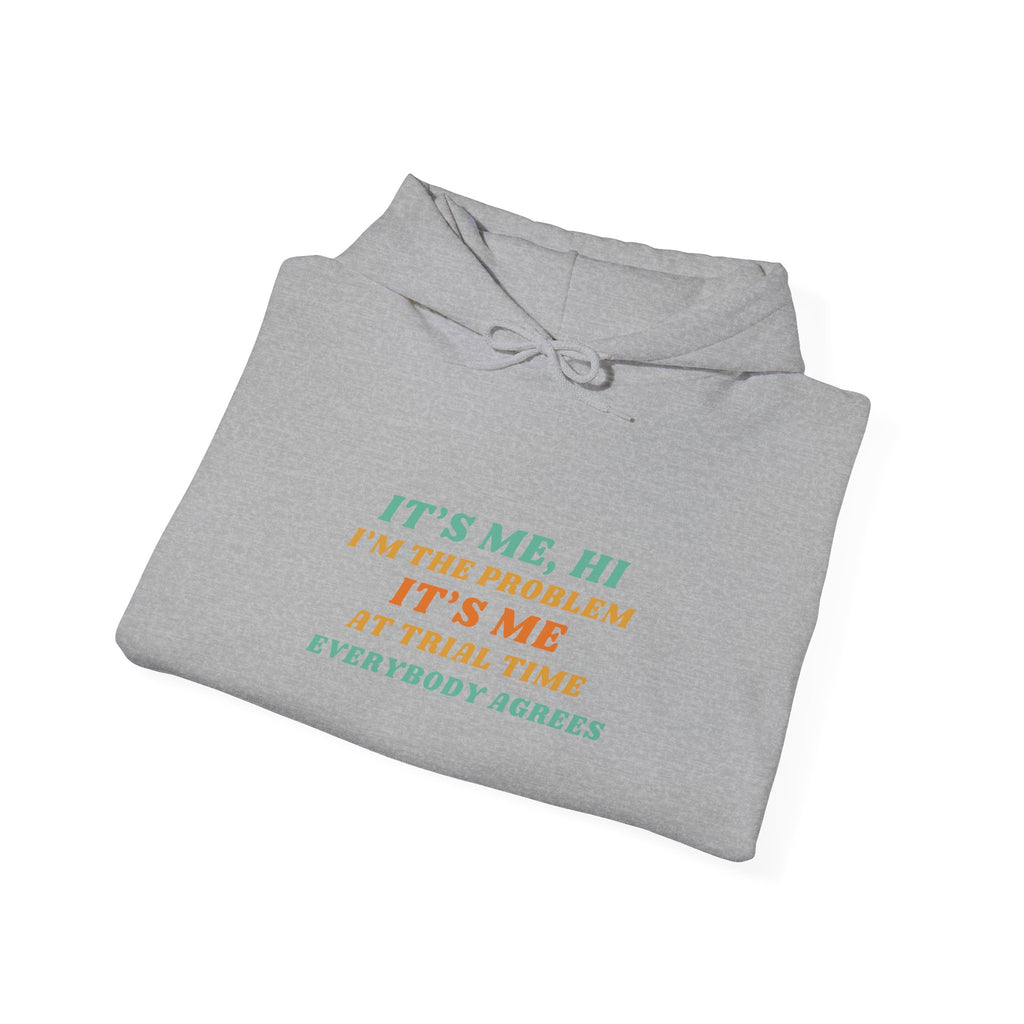 "It’s Me, Hi I’m the Problem…" Pullover