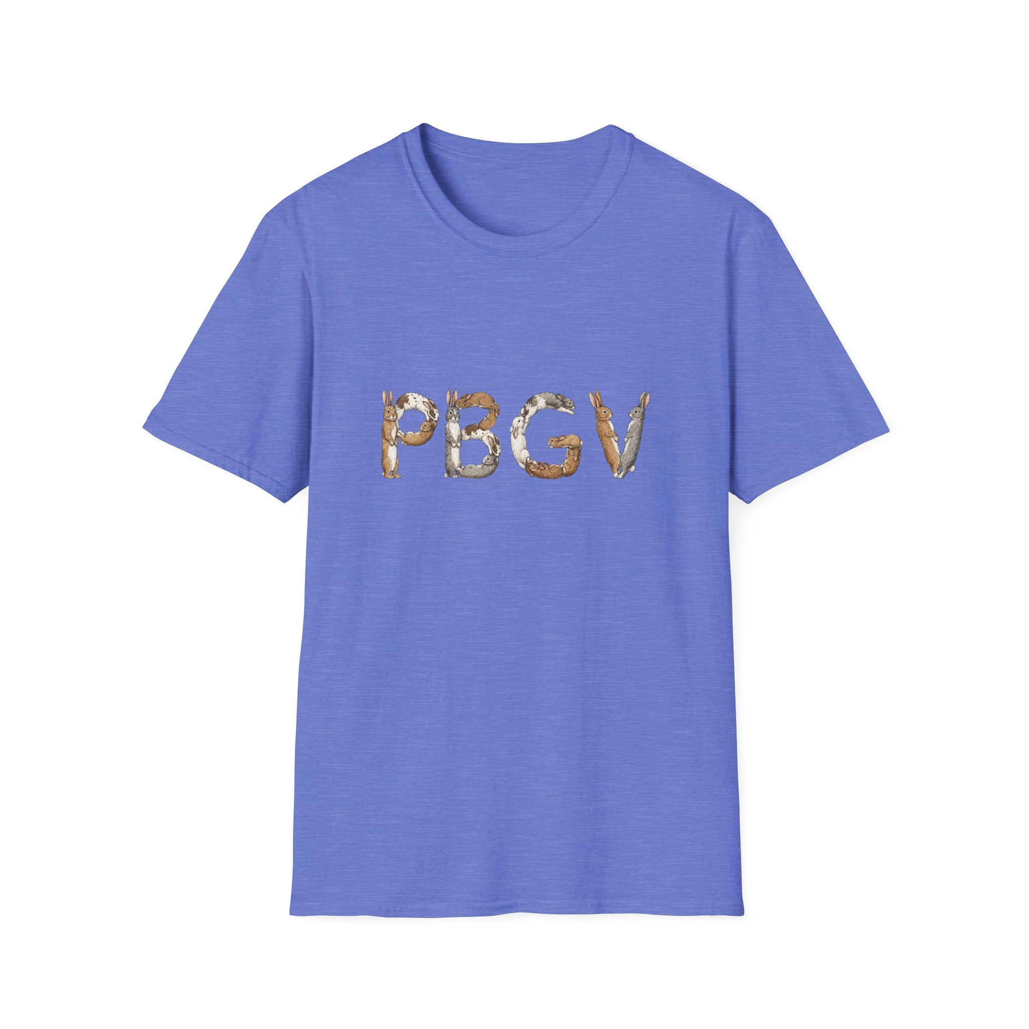 Rabbit PBGV
