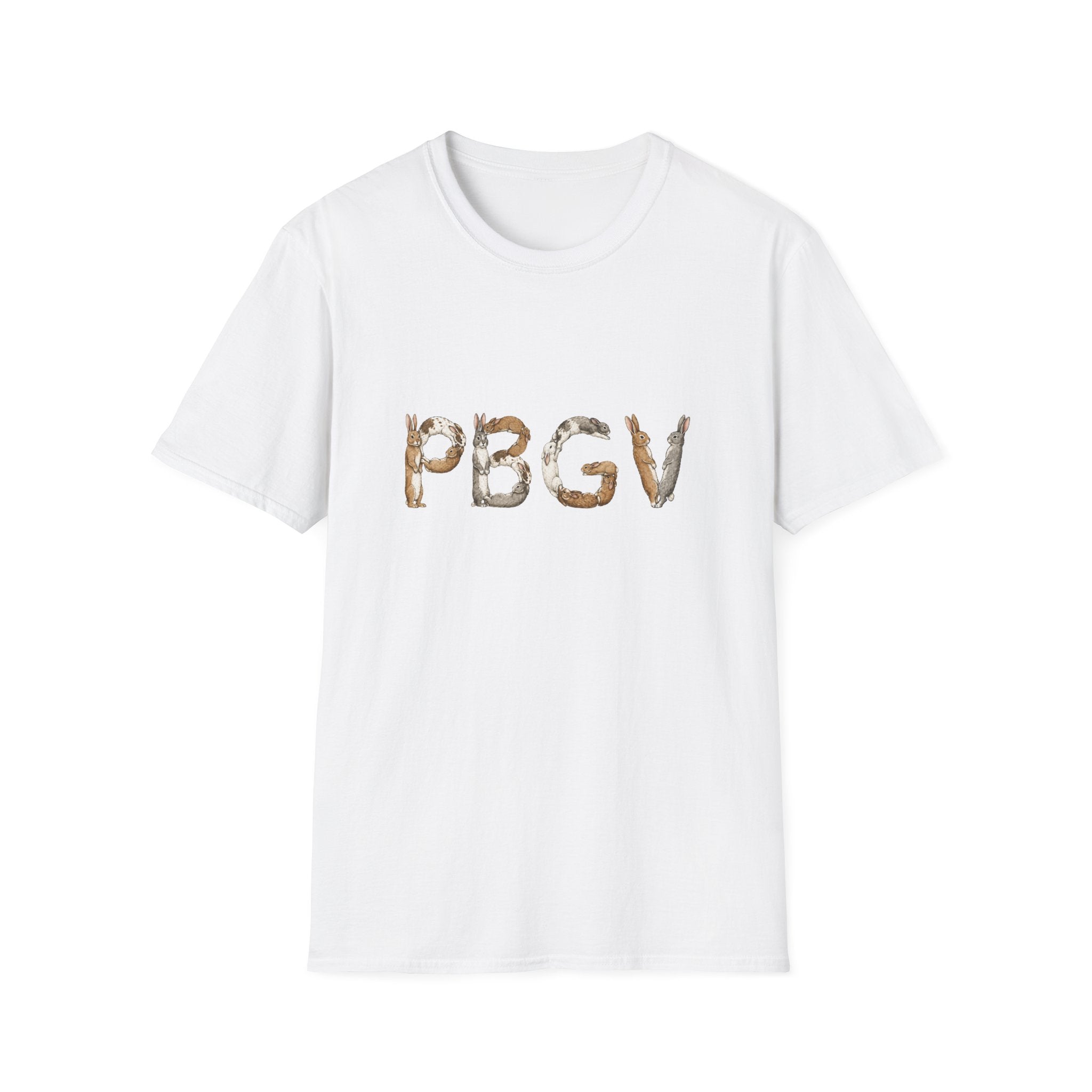 Rabbit PBGV