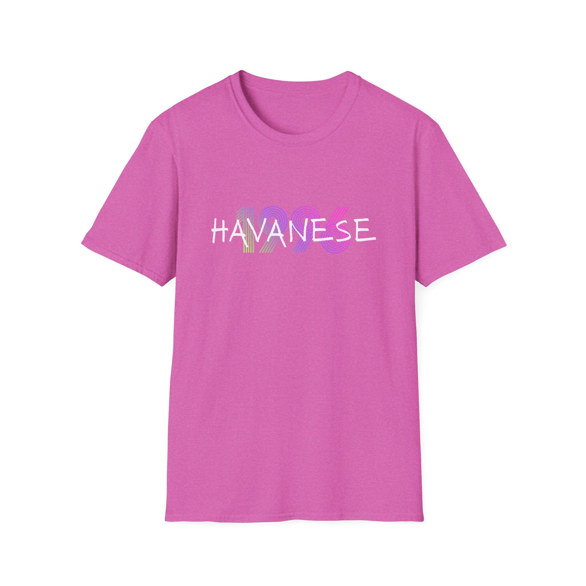 AKC Havanese Year