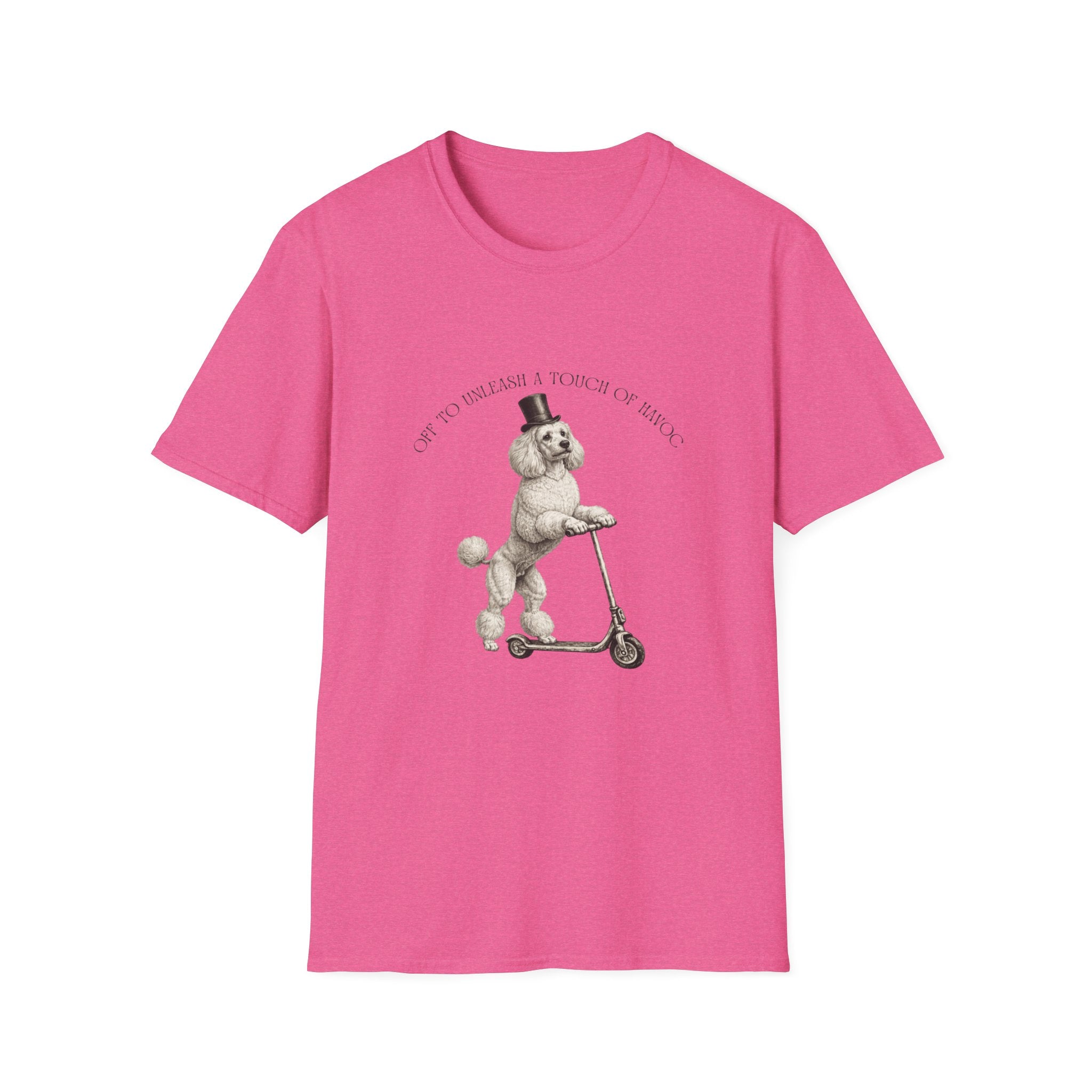 Off To Unleash Havoc - Poodle