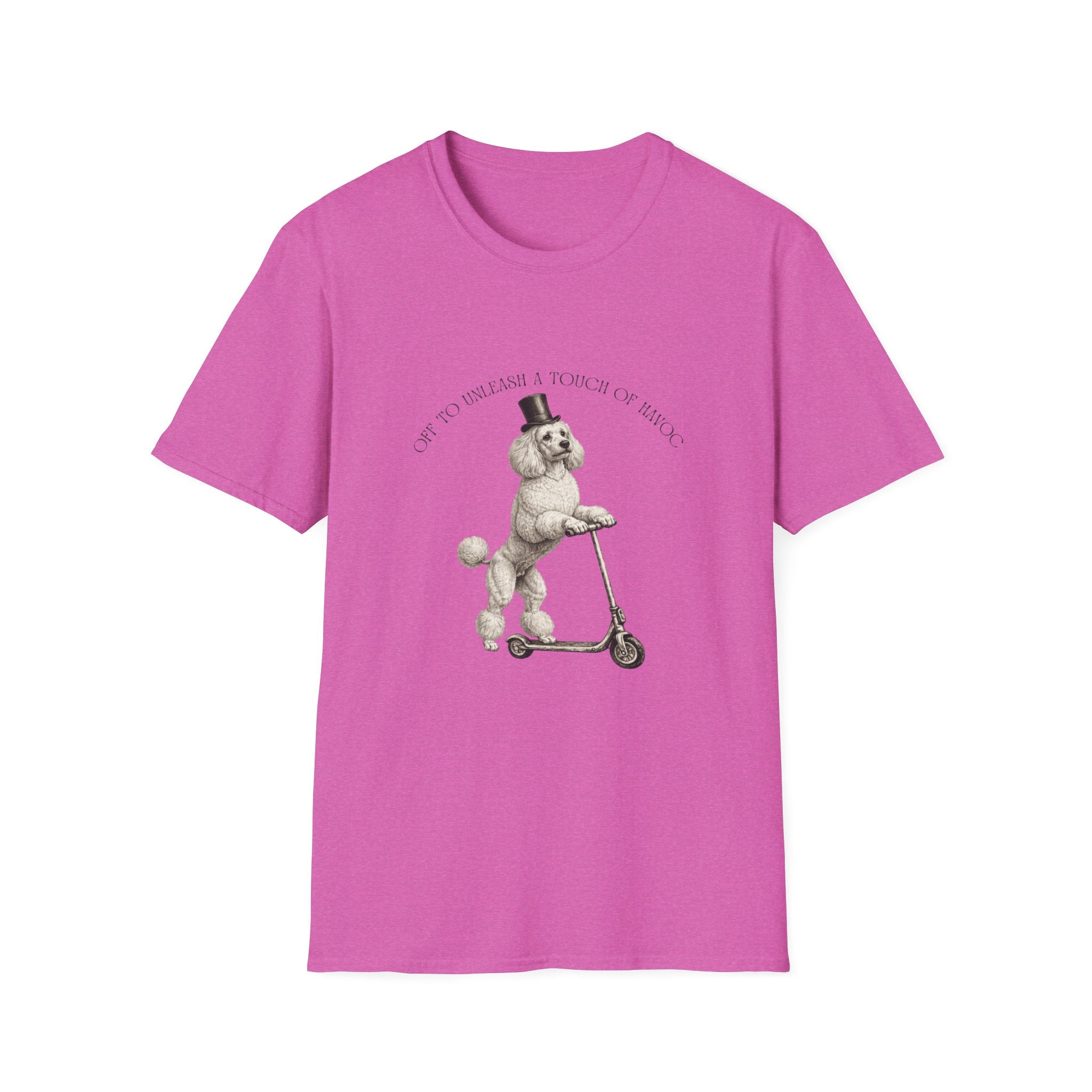 Off To Unleash Havoc - Poodle
