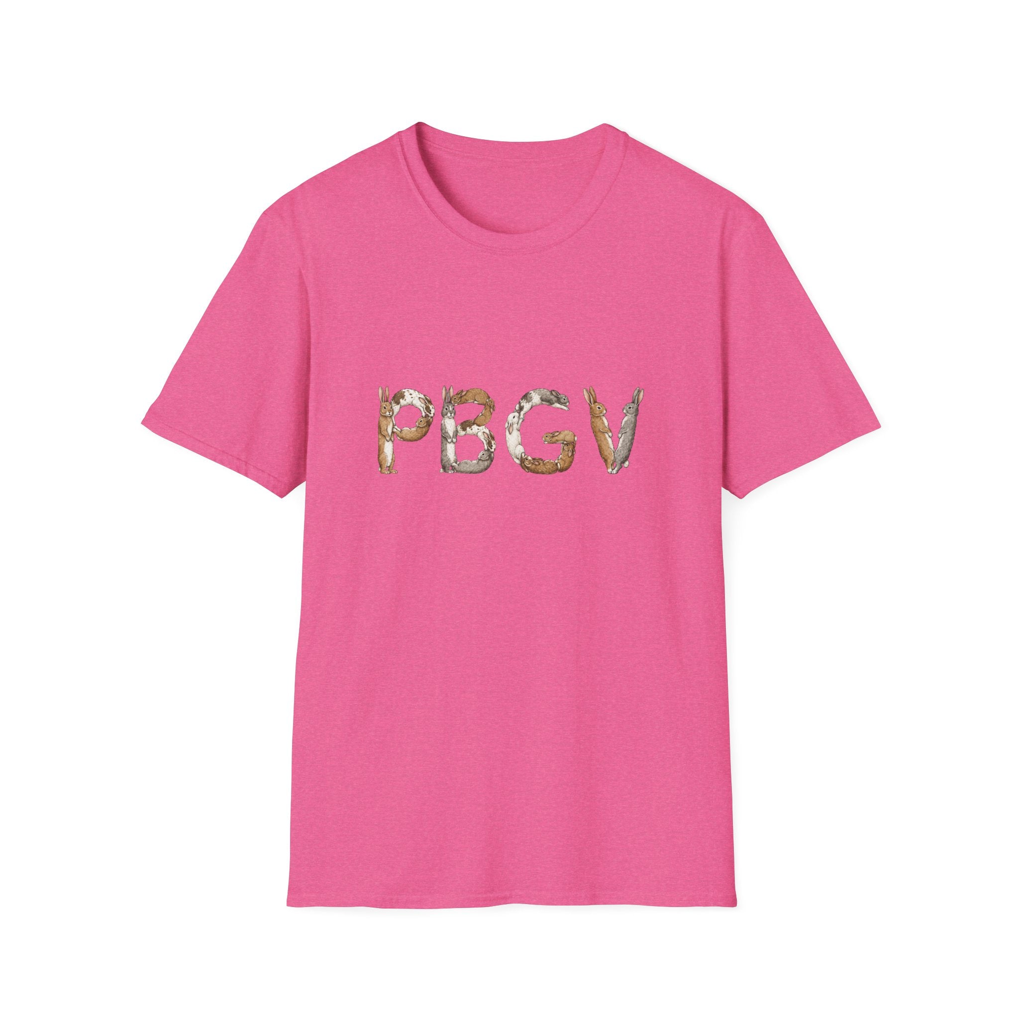 Rabbit PBGV