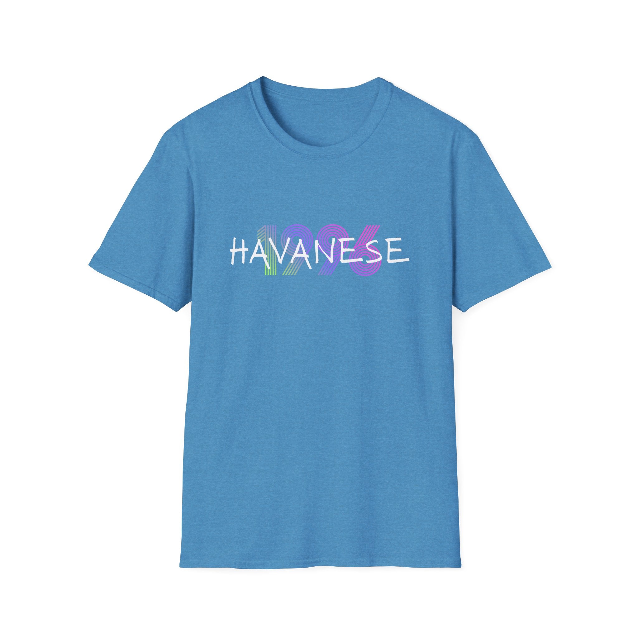 AKC Havanese Year