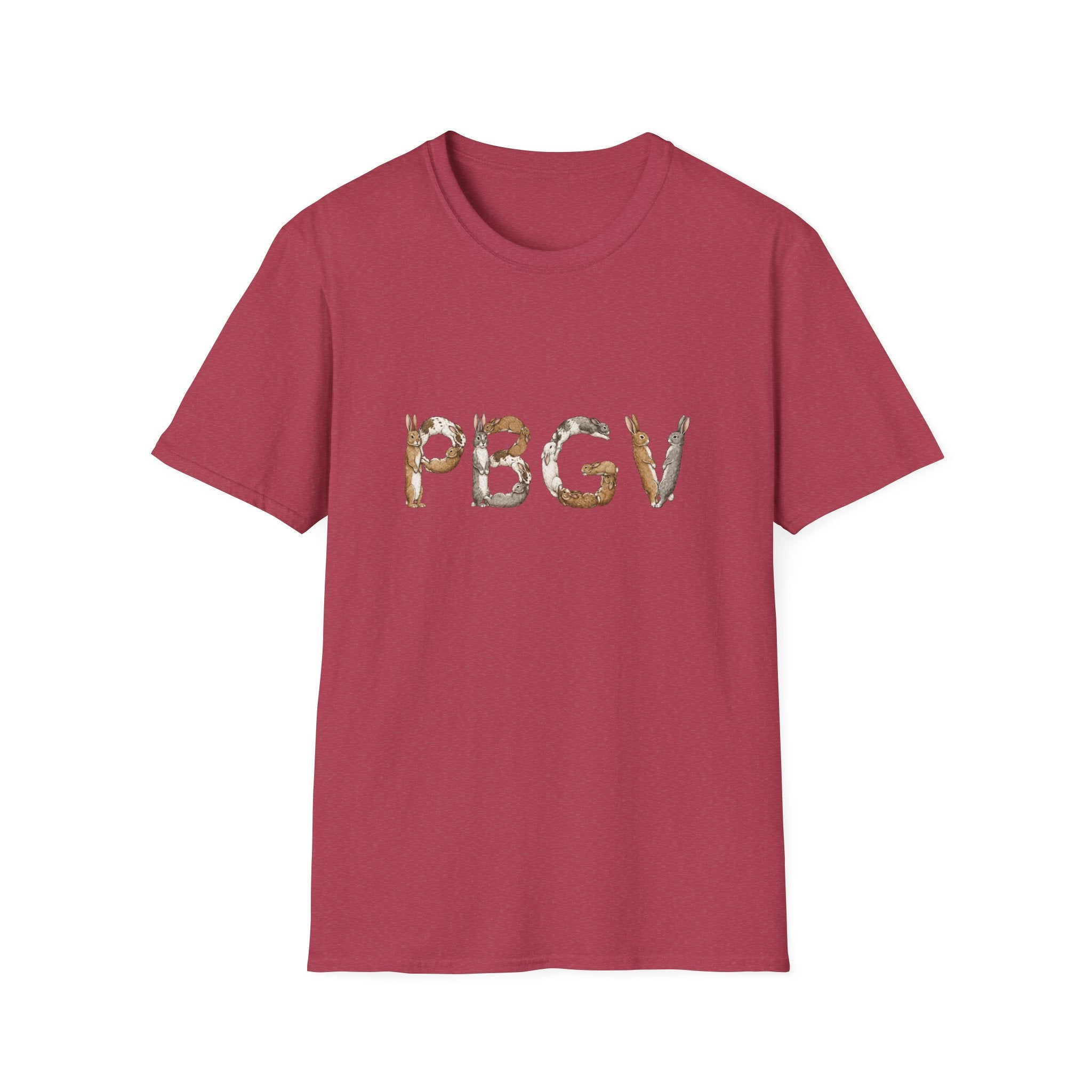Rabbit PBGV