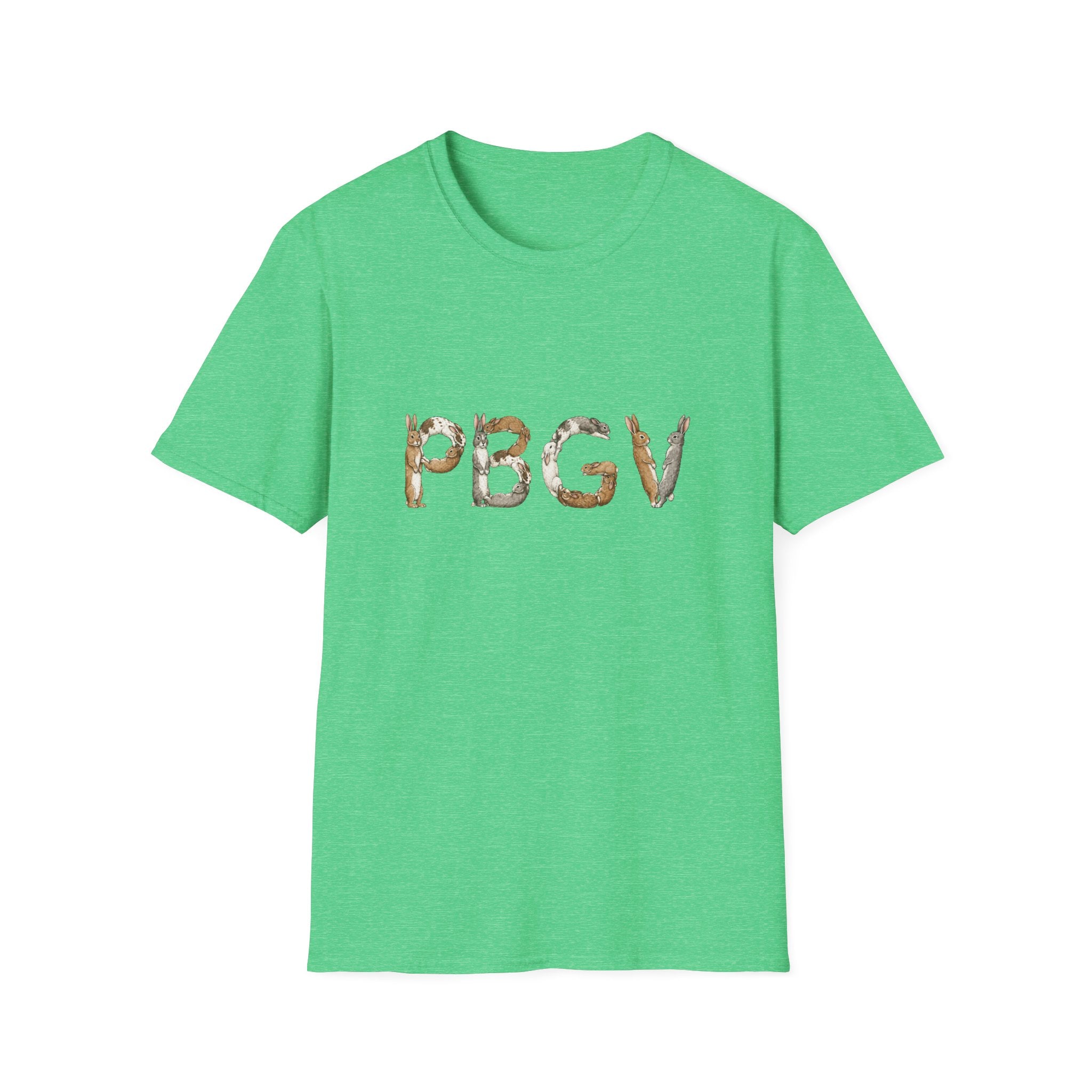Rabbit PBGV