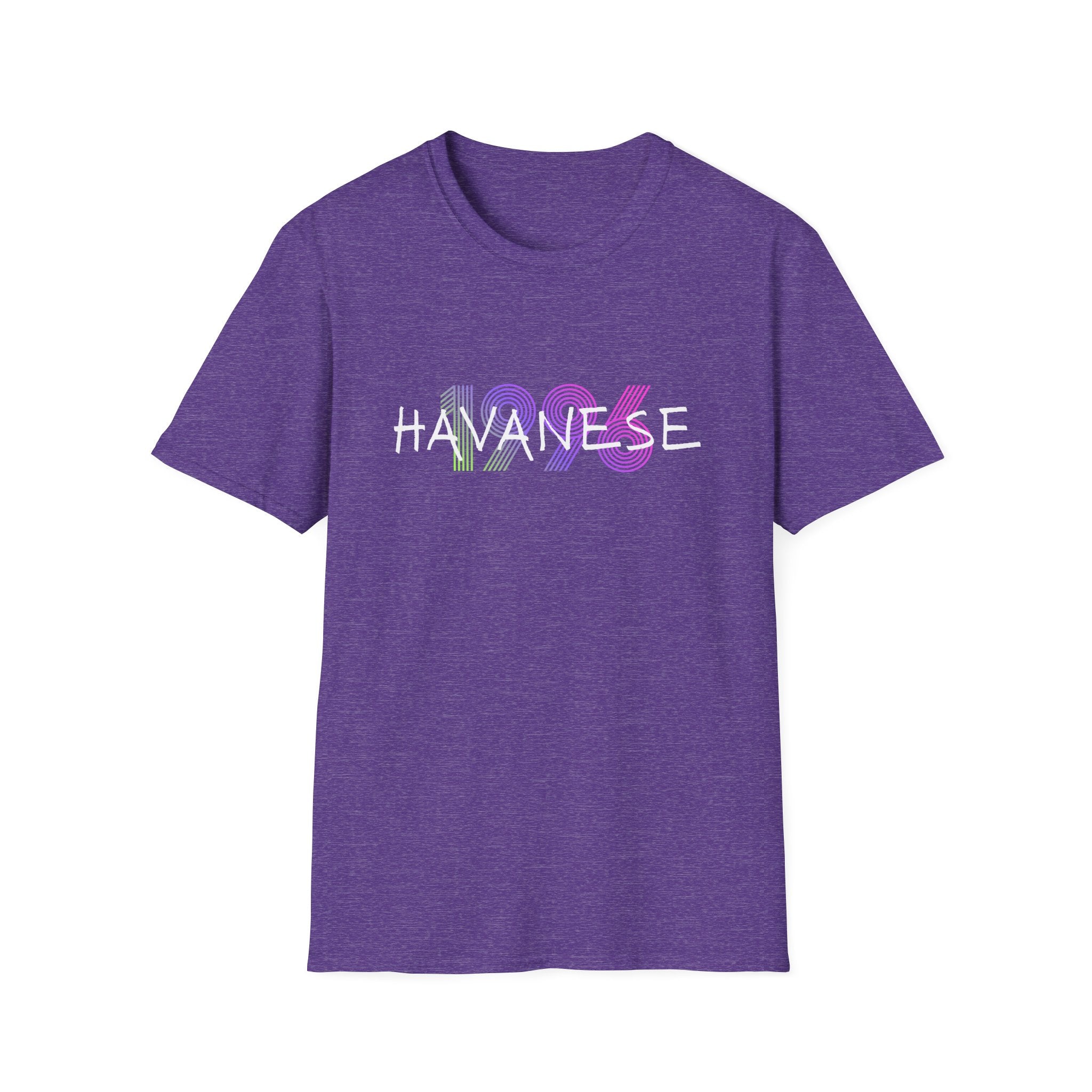 AKC Havanese Year