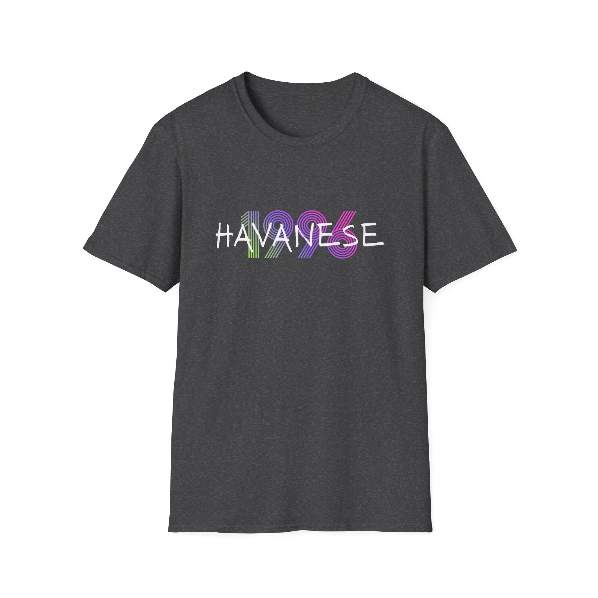 AKC Havanese Year