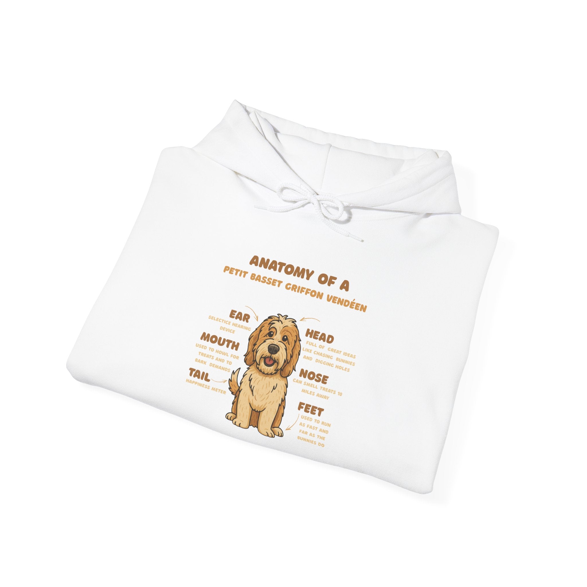 PBGV Anatomy Hoodie — Cute PBGV Diagram Sweatshirt
