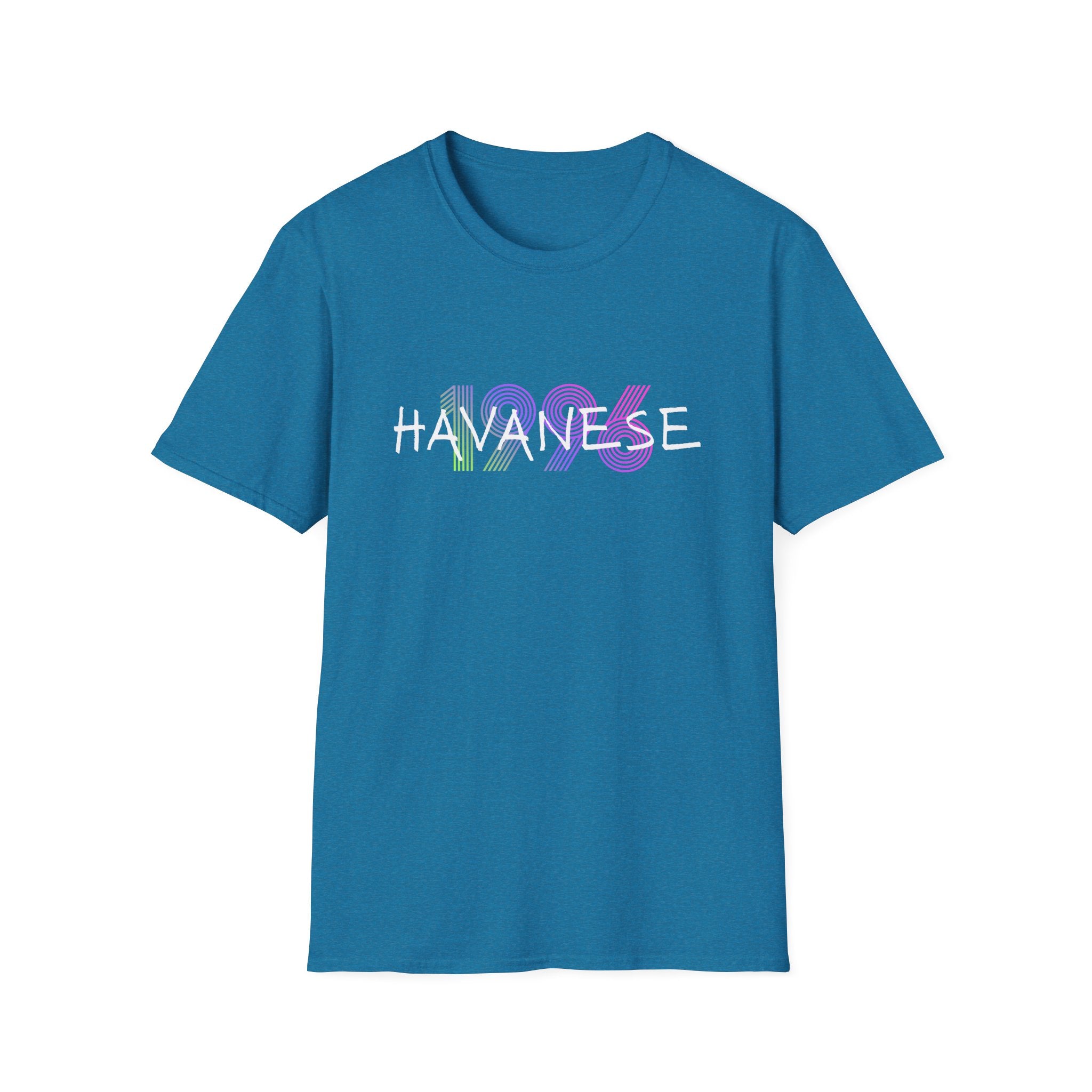 AKC Havanese Year